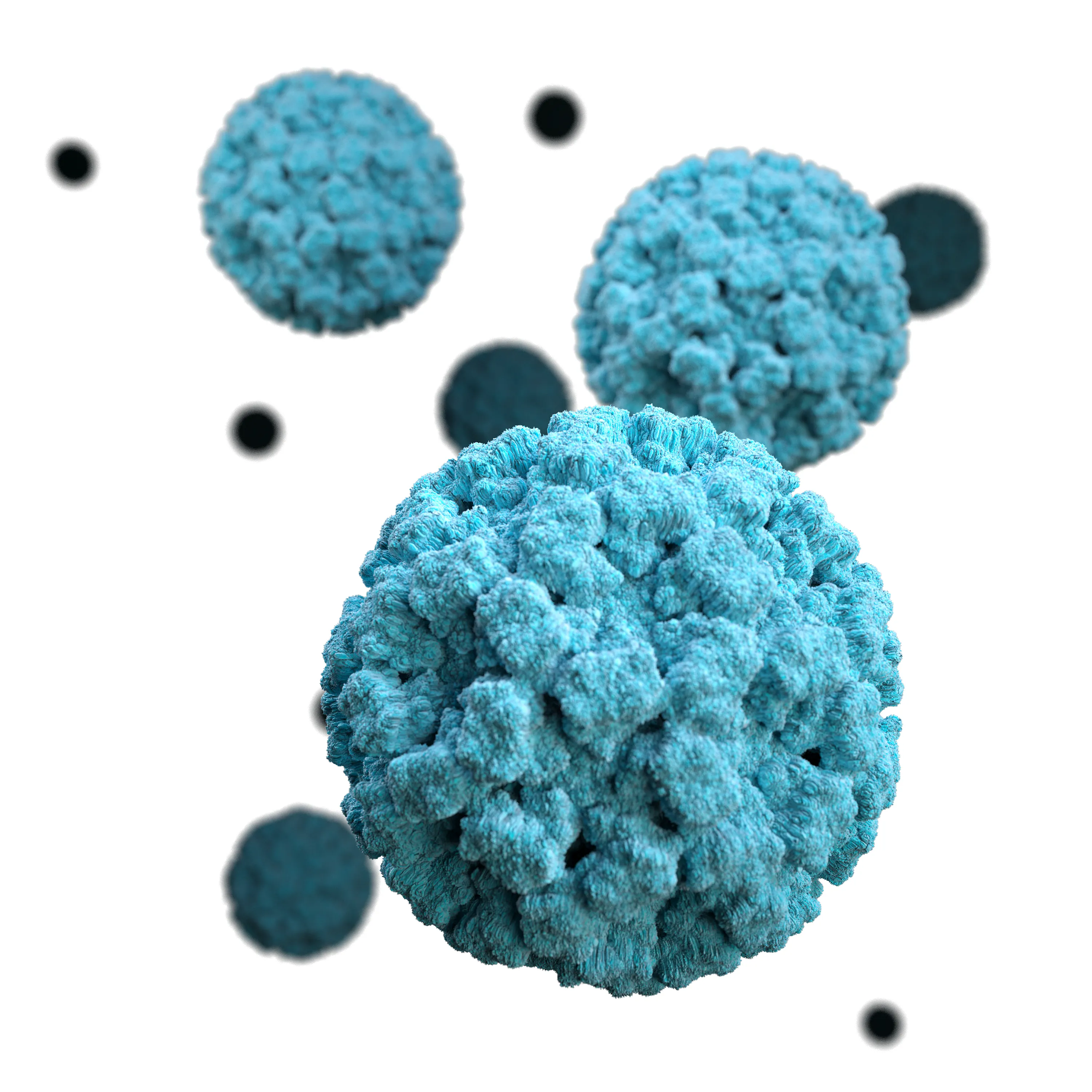 
                                                                                            Cos'è il Norovirus?
                                            